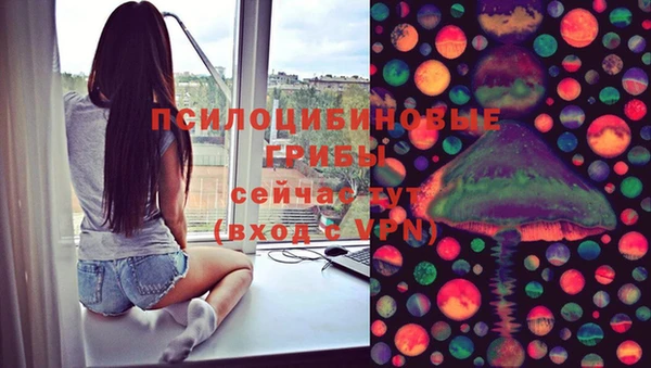 дурь Богданович